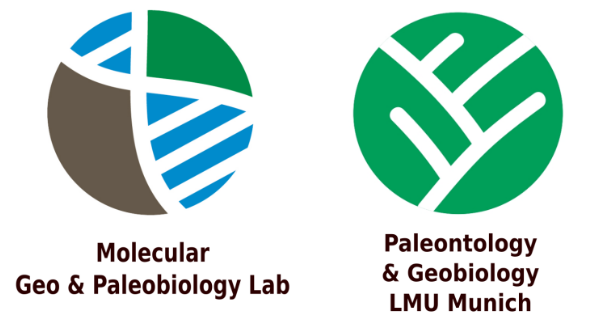 MolPaleo Logo